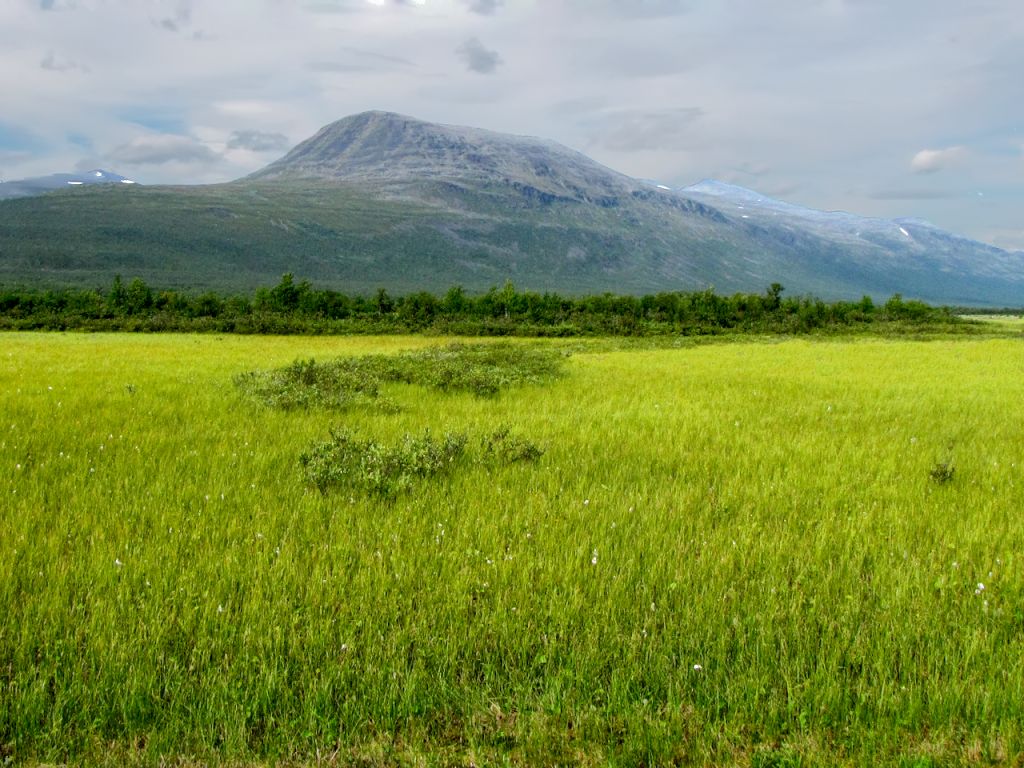 Sem dæmi um sérlausn, sem er sniðin að sérstökum aðstæðum í umsóknarríki, má nefna ákvæðið um heimskautalandbúnað eða norðurslóðalandbúnað í aðildarsamningi Finna og Svía frá 1994. Sem dæmi um sérlausn, sem er sniðin að sérstökum aðstæðum í umsóknarríki, má nefna ákvæðið um heimskautalandbúnað eða norðurslóðalandbúnað í aðildarsamningi Finna og Svía frá 1994.